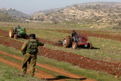 مستوطنون يستولون على 120 رأس غنم جنوب جنين