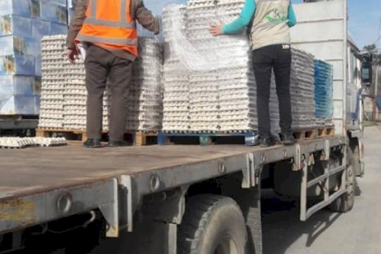 اتلاف 148 الف بيض فقس في غزة لهذا السبب