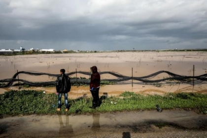 مليار دولار خسائر  منذ الانتفاضة..الزراعة: سنقّدم إعفاءات عديدة للمزارعين بغزة