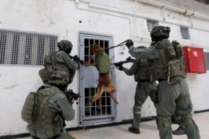 قوات الاحتلال تقتحم قسم 24 في معتقل النقب