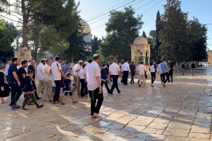 خلال الأسبوع الماضي.. (1891) مستوطناً اقتحموا ساحات "الأقصى"