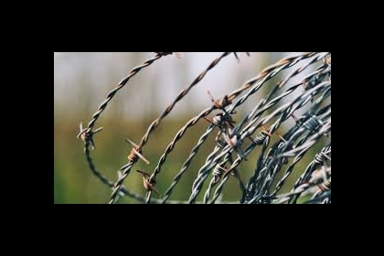 الافراج عن أسير من بيت لحم بعد اعتقال لـ8 شهور