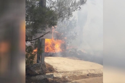 هيئة مقاومة الجدار والاستيطان: جنوب نابلس الأكثر عرضة لاعتداءات المستوطنين