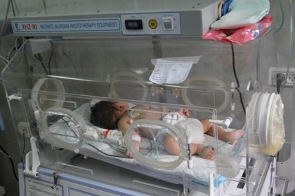 قطاع غزة يُسجل 3574 مولوداً جديداً خلال ايار