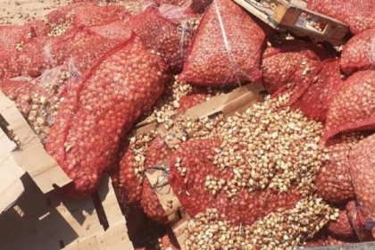 أزمة جديدة بسبب "البصل" بين زراعة غزة وتلفزيون فلسطين