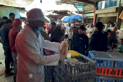 مباحث تموين الشمال تضبط 190 كيلو دجاج فاسد