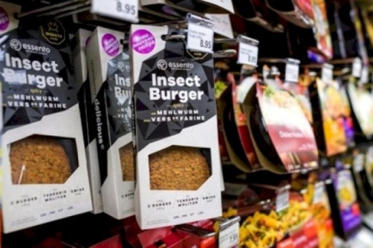 الاتحاد الأوروبي يسمح بتصنيف الجراد مادة غذائية