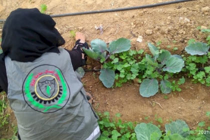 لجنة المرأة العاملة بمجلس العمال في محافظة الوسطى تواصل تنفيذ فعاليات اسناد ومساعدة الخريجات الفلسطينيات