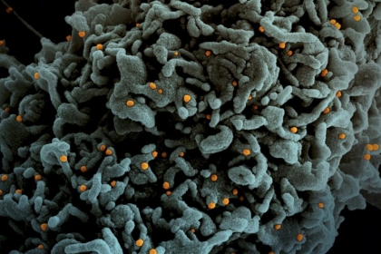 الصحة العالمية: نهاية وباء "كورونا" باتت قريبة