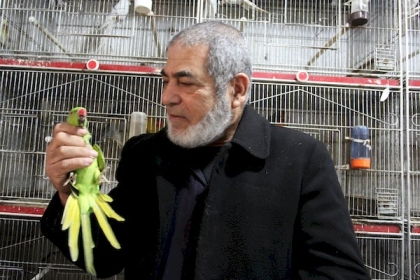 الستيني نور الدين من غزة يفضل قضاء وقته بين العصافير والطيور