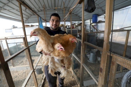 الفلسطيني أبو هداف ينجح بتربية سلالات نادرة من الطيور بغزة