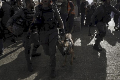 الاحتلال يخطر بوقف العمل في منشآت سكنية جنوب طوباس