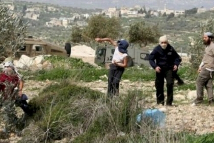 الأغوار الشمالية: مستوطنون يهاجمون مساكن المواطنين في خربة يرزا ووادي المالح