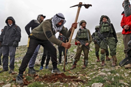 نابلس: أهالي بورين ونشطاء سلام إسرائيليون يزرعون أشجارا لوقف زحف بؤرة “جفعات رونين”بورين