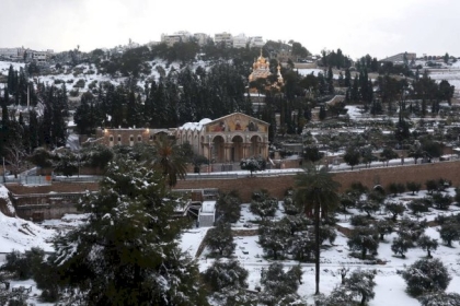 الاحتلال يضطر لتجميد مخطط توسيع “الحديقة القومية” في جبل الزيتون