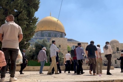 المستوطنون ينفذون اقتحامات واسعة للمسجد الأقصى