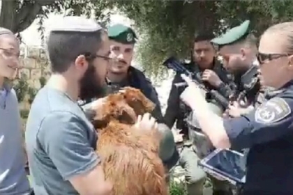 مستوطنون مسلحون يتجمعون على الشارع الاتفاقي شرق الخليل