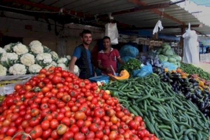 سعر كيلو الدجاج والخضروات اليوم الخميس 05 مايو في غزة