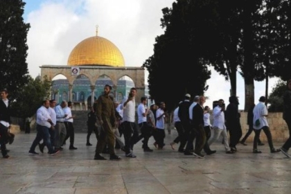 أوقاف مصر: دعوات المستوطنين لهدم قبة الصخرة استفزاز للمسلمين