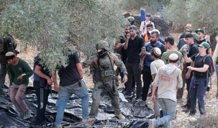 وزير خارجية بلجيكا يطالب بفرض عقوبات أوروبية على المستوطنين مرتكبي العنف وداعميهم