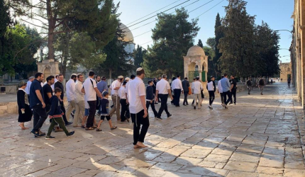 عشرات المستوطنين يقتحمون الأقصى ويؤدون طقوسًا تلمودية