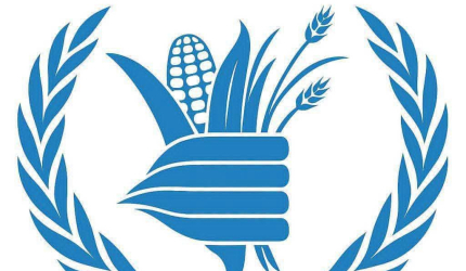 برنامج الأغذية العالمي يخفض المساعدات النقدية لـ75 ألف أسرة في غزة