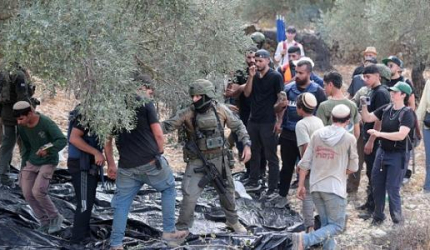 وزير خارجية بلجيكا يطالب بفرض عقوبات أوروبية على المستوطنين مرتكبي العنف وداعميهم