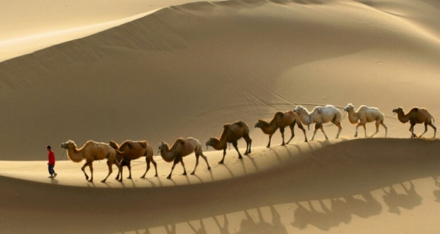 أغنى رجل في التاريخ.. عاش في أفقر بقاع الأرض حاليا!