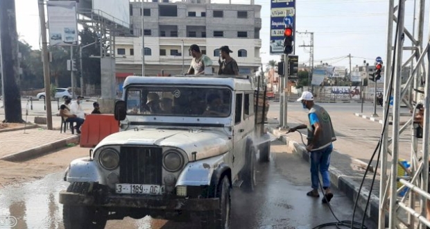 جانب من عملية التعقيم 