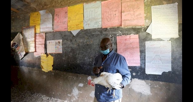 صور حصرية من المدرسة