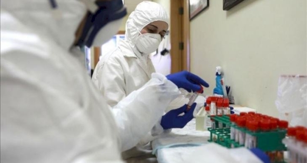 كورونا في الوطن العربي