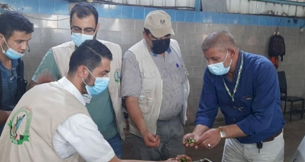 جولات ميدانية وزارة الاقتصاد - صور حصرية 