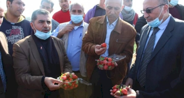 جولة وزارة الزراعة في شمال قطاع غزة