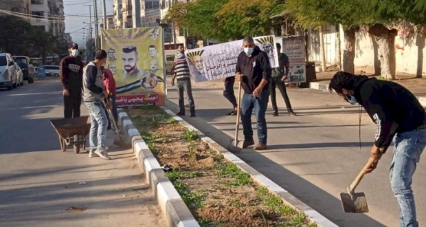 متطوعون يقومون بتنظيف وتزيين وزراعة الأشجار في أحد شوارع غزة 