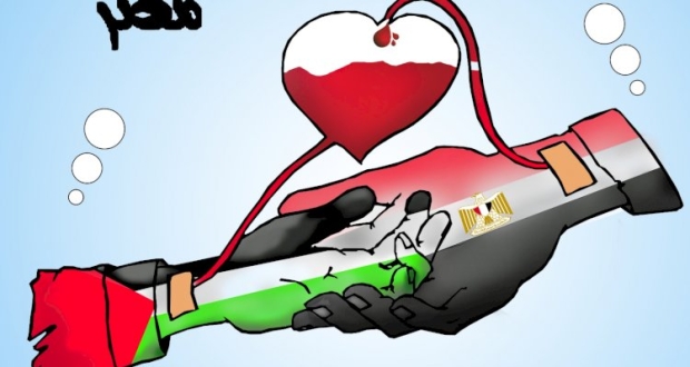 كاركاتير عاشت فلسطين وتحيا مصر